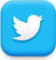 twitter-icon